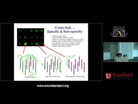 Comparative Analysis of Non Coding Transcription using ENCODE and modENCODE data - Joel Rozowsky