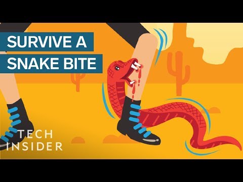 Learn How to Survive Being Bitten by a Snake