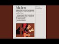 Schubert: String Quartet No.15 in G, D.887 - 2. Andante un poco mosso