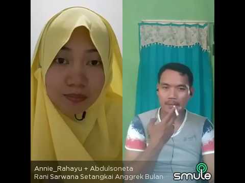 Setangkai anggrek bulan