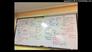 9) Dr. wael salah anatomy of the cornea