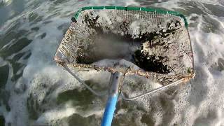 Ловля янтаря в море под водой