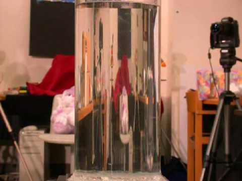 Motion and Transparent Objects: Pipe Video