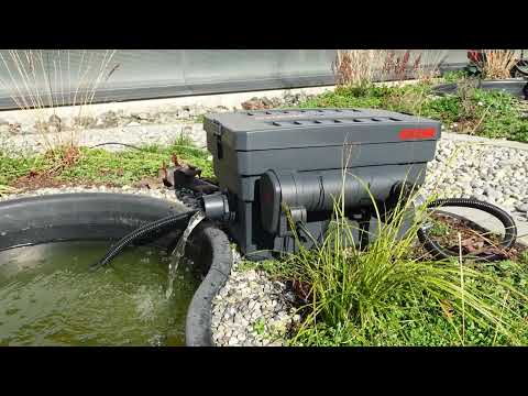 Watch Video on YouTube