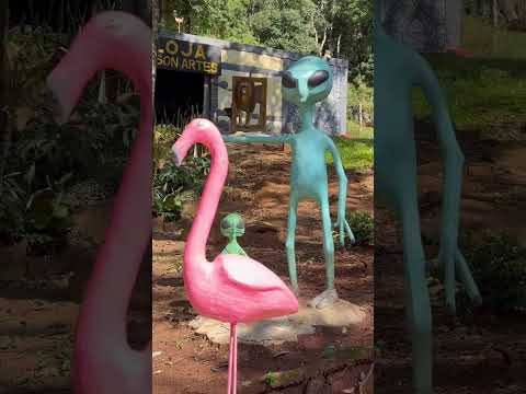 Wilson Artes Rodovia 466 Turvo PR