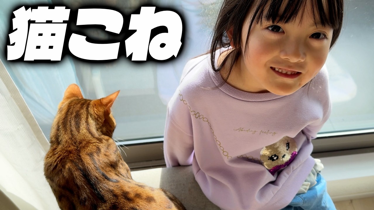 猫こねくり回し親子と猫たちの昼下がり