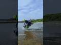 Kya Bolti Company Yt Short Bike Stunt Trending Short Innocent Aman