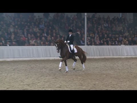 Quasar de Charry - Gala-Abend der 127. Elite-Auktion