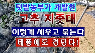 [텃밭농부 1,469]  텃밭농부가 개발한 고추지줏대. 세우고 묶는 방법 #고추지줏대. #고추재배