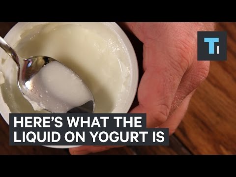 download lagu mp3 mp4 Liquid On Top Of Yogurt, download lagu Liquid On Top Of Yogurt gratis, unduh video klip Liquid On Top Of Yogurt