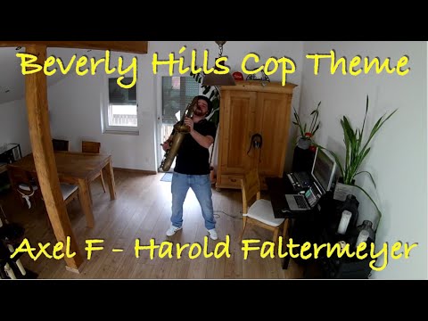 Beverly Hills Cop Theme - Axel F - Harold Faltermeyer (Rolax Sax Cover)