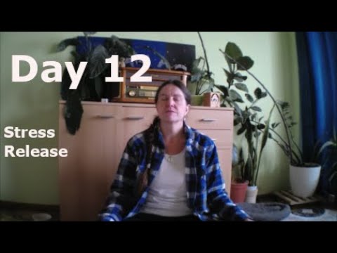 Day 12 - Stress Release #MeditationChallenge #Meditation