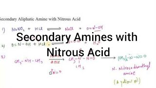 Secondary Amine with Nitrous Acid I Amines I Particles Academy