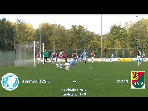 Samenvatting Hermes DVS 1 -  SVV 1