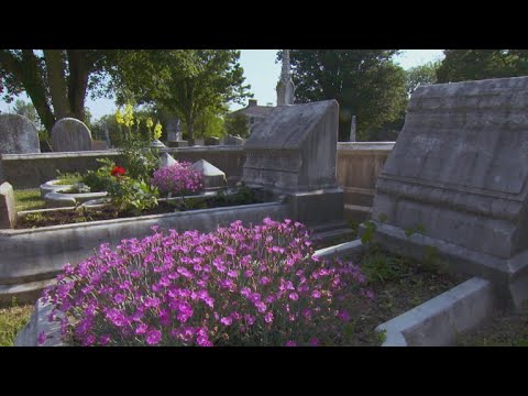 YouTube video about: How to plant grass on a gravesite?