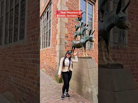 🐶 das Tier (animal) 🎶 Town Musicians of Bremen 🇩🇪  Germany's tourist spot 📷 SG Z Flip 5