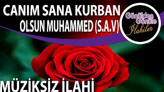 Duygusal Müziksiz Harika Bir ilahi | Canım Sana Kurban Olsun Muhammed