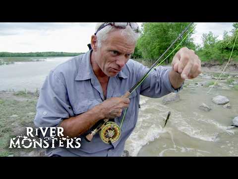 17 Best Fishing Catches In The USA 🇺🇸 | River Monsters