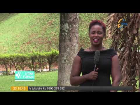 SITIMAY'AMAKA, Abaana empewo z'ekika bezagaana mu kika, DNA ekakasizza nti bamunju eyo