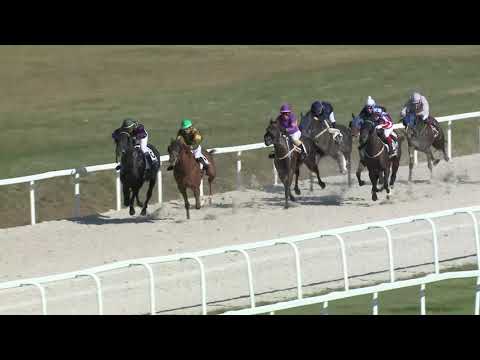 2019.09.22. 03. futam - NÉMETH FERENC EMLÉKKUPA V. FUTAMA HENDIKEP (V.o.)(szintetikus pálya)