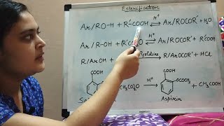 Esterification and Acetylation of Alcohols and Phenols