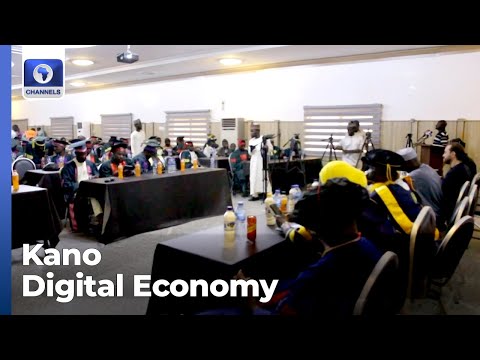 FG Partners NGO To Train Kano Youths For Digital Economy