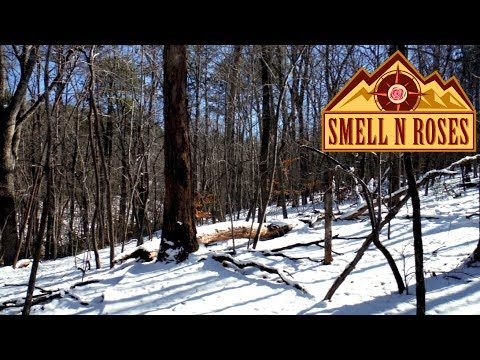 Bushwhacking Medoc Mountain, North Carolina