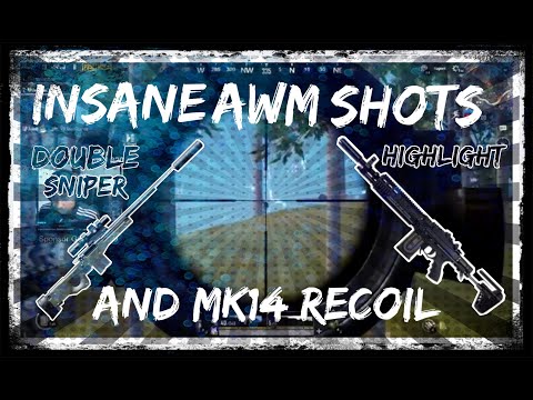 MK14 and AWM gameplay highlights Double Sniper