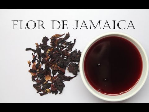 download lagu mp3 mp4 Como Hacer Te De Jamaica, download lagu Como Hacer Te De Jamaica gratis, unduh video klip Como Hacer Te De Jamaica