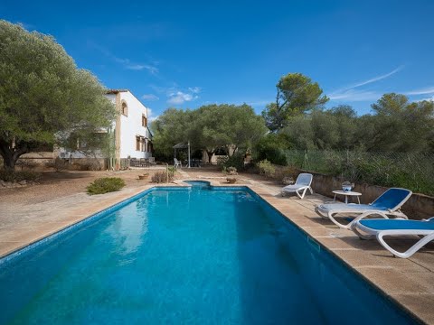 Thumbnail of the real estate video