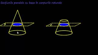 Secțiuni paralele cu baza în corpuri geometrice