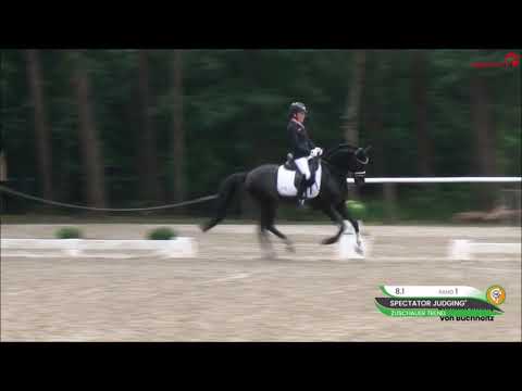 PAV NACHTSCHWÄRMER 5j. v. Nemax - FS Don't Worry