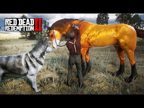Domando o CAVALO RAPOSA  -  FOX HORSE - O PEQUENO DOMADOR DE CAVALOS  -  Red Dead Redemption 2