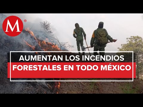 Conafor reporta 68 incendios activos en 19 estados