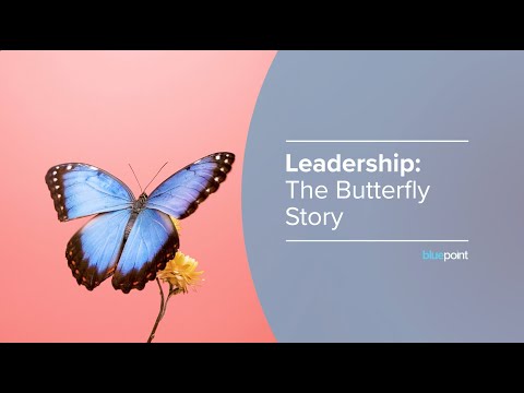Leadership: The Butterfly Story