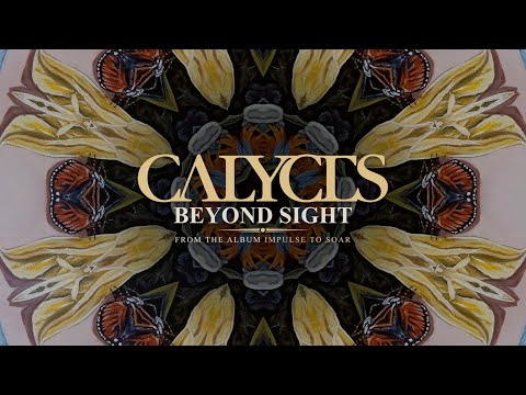 Video thumbnail for Beyond Sight