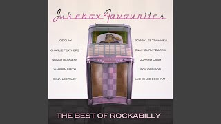 Red Cadillac and a Black Moustache