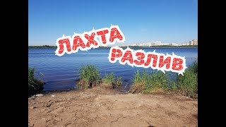 Ссылка