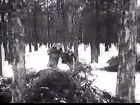 SdKfz 303 Leichte ladungsträger "Goliath"