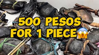 500 FOR 1 PIECE OF CRAB?😱