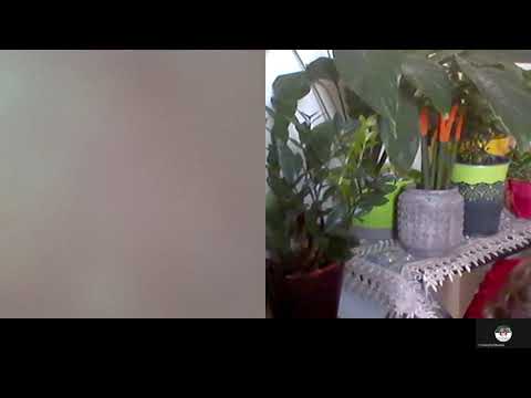 Hipnoza Regresiva 411 Diana si maturizarea dincolo C si A Moraru