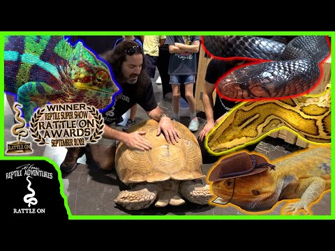 YouTube video about: When is the next reptile expo in las vegas?