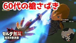 【実況】定年を迎えた父を再びハイラルの大地に放り込むPart16【ゼルダ無双 厄災の黙示録】