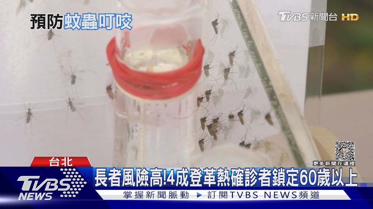 登革熱來襲!集中「中南部」 長者要注意