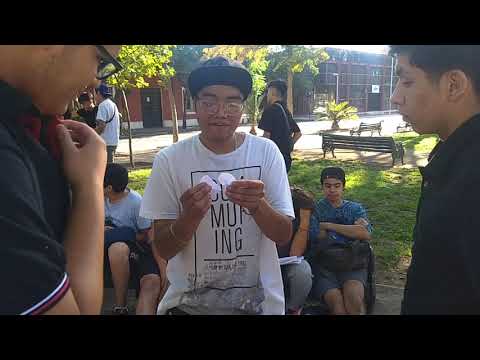 🏆Qualia vs Sheshe🏆 🔥 4TOS 🔥 Batalla De Los Dioses