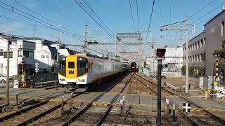 近鉄特急12400系サニーカーと50000系ひのとり