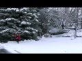 My Dear Acquaintance[A Happy New Year] - Regina ...