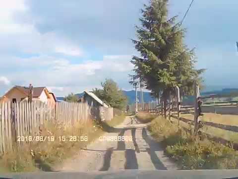 Dorna Candrenilor / Dealul Floreni  - The Country road