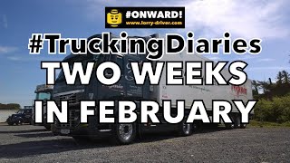 Two Weeks In Feburary; Tunnels Diesel &amp; Screaming Bertie