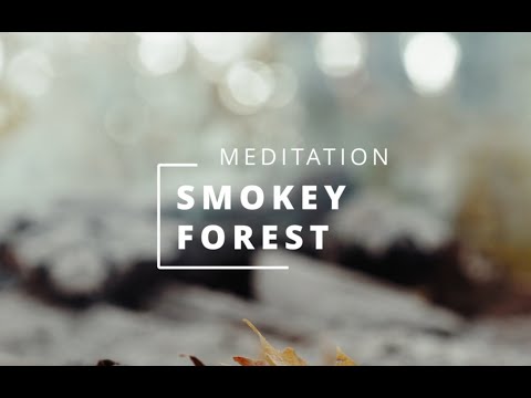 +3 HOURS OF PURE RELAXATION AND MEDITATION , SMOKEY FOREST, 40 BPM